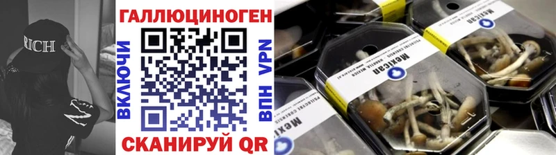 ссылка на мегу ссылка  Никольск  Галлюциногенные грибы прущие грибы  купить  